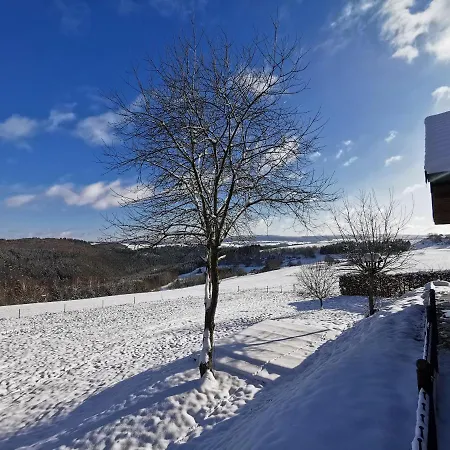 Holiday home Ferienhaus Zur Kleinen Dhron